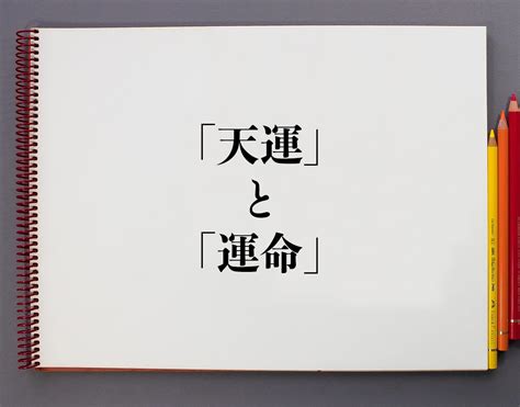 天運 意思|天運（てんうん）とは？ 意味・読み方・使い方をわかりやすく。